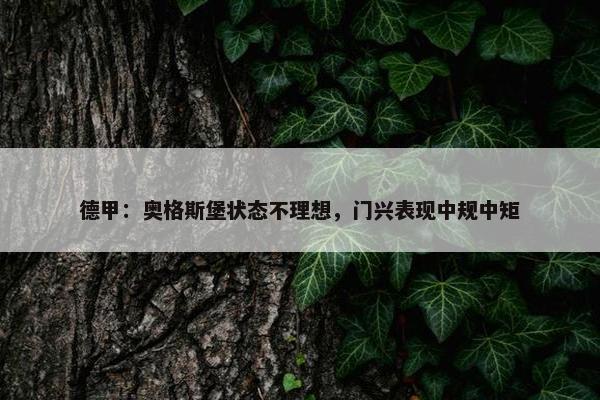 德甲：奥格斯堡状态不理想，门兴表现中规中矩