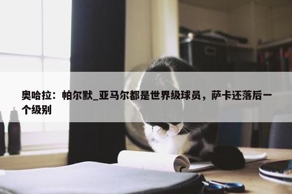 奥哈拉：帕尔默_亚马尔都是世界级球员，萨卡还落后一个级别