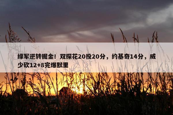 绿军逆转掘金！双探花20投20分，约基奇14分，威少砍12+8完爆默里