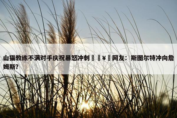 山猫教练不满对手庆祝暴怒冲刺🥵网友：斯图尔特冲向詹姆斯？