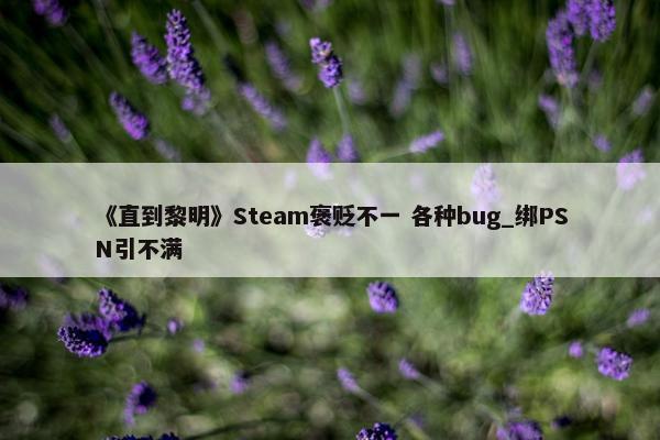 《直到黎明》Steam褒贬不一 各种bug_绑PSN引不满