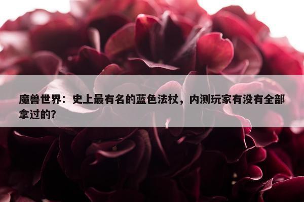 魔兽世界：史上最有名的蓝色法杖，内测玩家有没有全部拿过的？