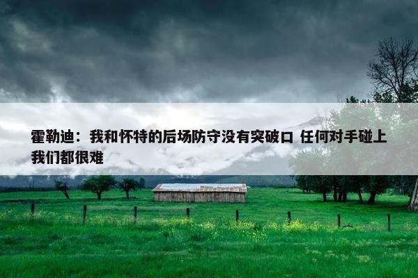 霍勒迪：我和怀特的后场防守没有突破口 任何对手碰上我们都很难