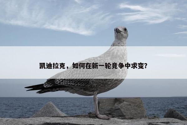 凯迪拉克，如何在新一轮竞争中求变？