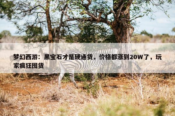 梦幻西游：黑宝石才是硬通货，价格都涨到20W了，玩家疯狂囤货