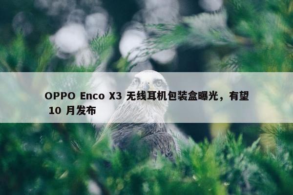 OPPO Enco X3 无线耳机包装盒曝光，有望 10 月发布