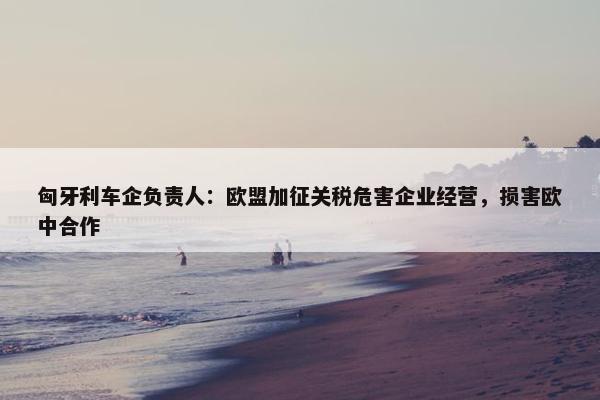 匈牙利车企负责人：欧盟加征关税危害企业经营，损害欧中合作