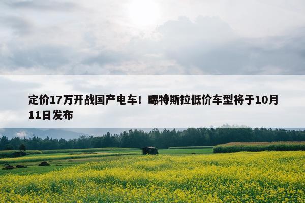 定价17万开战国产电车！曝特斯拉低价车型将于10月11日发布