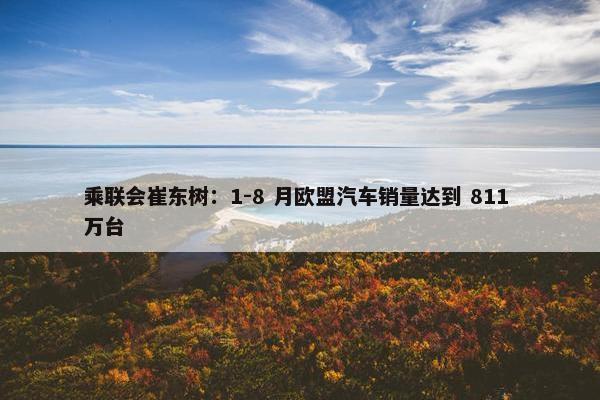 乘联会崔东树：1-8 月欧盟汽车销量达到 811 万台