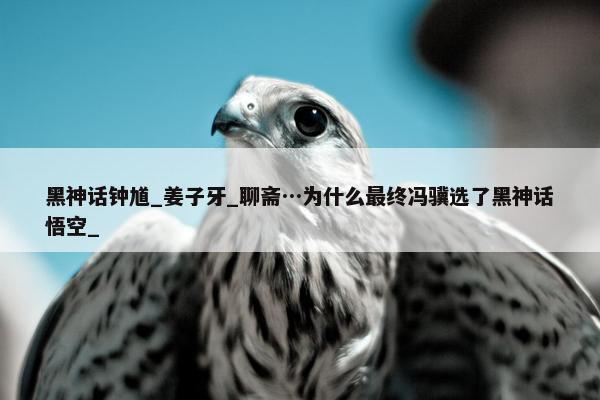 黑神话钟馗_姜子牙_聊斋…为什么最终冯骥选了黑神话悟空_