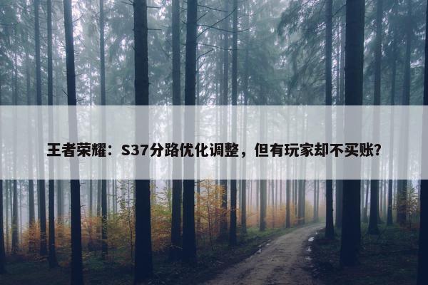 王者荣耀：S37分路优化调整，但有玩家却不买账？