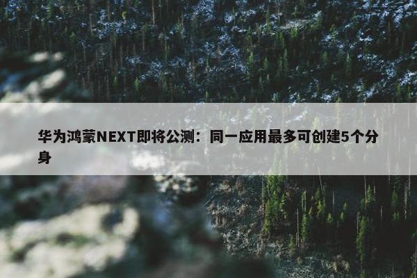 华为鸿蒙NEXT即将公测：同一应用最多可创建5个分身