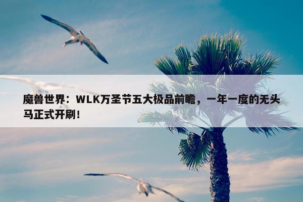 魔兽世界：WLK万圣节五大极品前瞻，一年一度的无头马正式开刷！