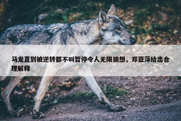 马龙直到被逆转都不叫暂停令人无限猜想，邓亚萍给出合理解释