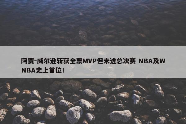 阿贾-威尔逊斩获全票MVP但未进总决赛 NBA及WNBA史上首位！