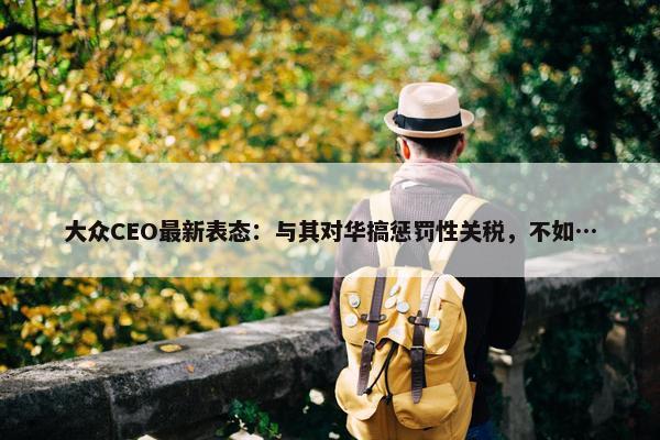 大众CEO最新表态：与其对华搞惩罚性关税，不如…