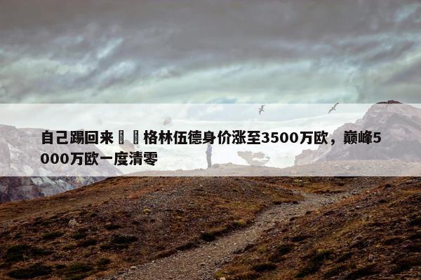 自己踢回来❗️格林伍德身价涨至3500万欧，巅峰5000万欧一度清零