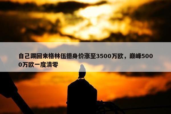 自己踢回来格林伍德身价涨至3500万欧，巅峰5000万欧一度清零