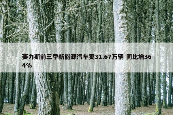 赛力斯前三季新能源汽车卖31.67万辆 同比增364%