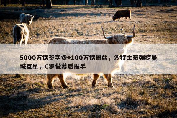 5000万镑签字费+100万镑周薪，沙特土豪强挖曼城巨星，C罗做幕后推手