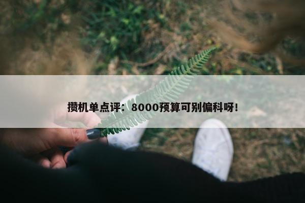 攒机单点评：8000预算可别偏科呀！