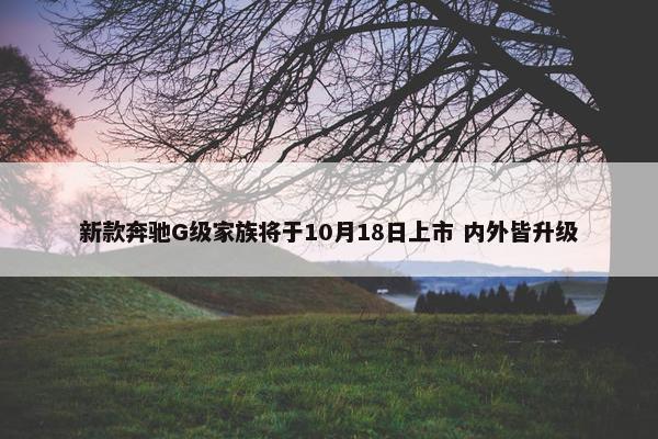 新款奔驰G级家族将于10月18日上市 内外皆升级