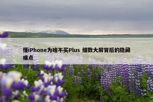 懂iPhone为啥不买Plus 细数大屏背后的隐藏痛点