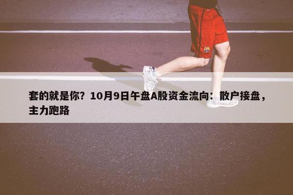 套的就是你？10月9日午盘A股资金流向：散户接盘，主力跑路