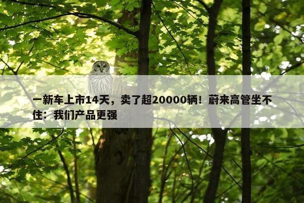 一新车上市14天，卖了超20000辆！蔚来高管坐不住：我们产品更强