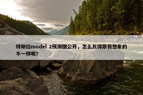 特斯拉model 2预测图公开，怎么长得跟我想象的不一样呢？