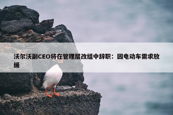 沃尔沃副CEO将在管理层改组中辞职：因电动车需求放缓