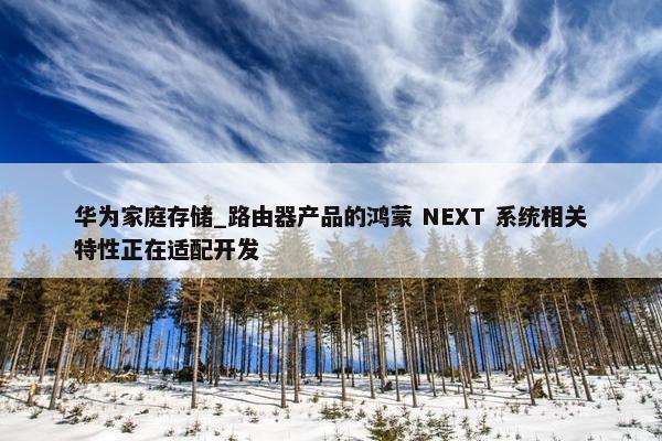 华为家庭存储_路由器产品的鸿蒙 NEXT 系统相关特性正在适配开发