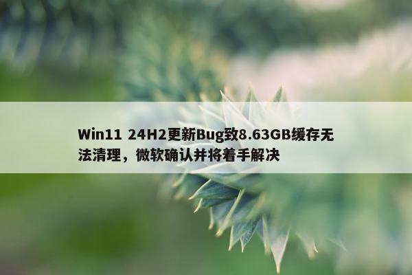 Win11 24H2更新Bug致8.63GB缓存无法清理，微软确认并将着手解决