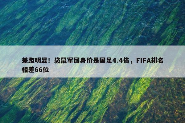 差距明显！袋鼠军团身价是国足4.4倍，FIFA排名相差66位