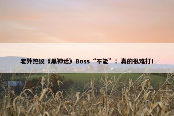 老外热议《黑神话》Boss“不能”：真的很难打！