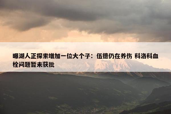 曝湖人正探索增加一位大个子：伍德仍在养伤 科洛科血栓问题暂未获批