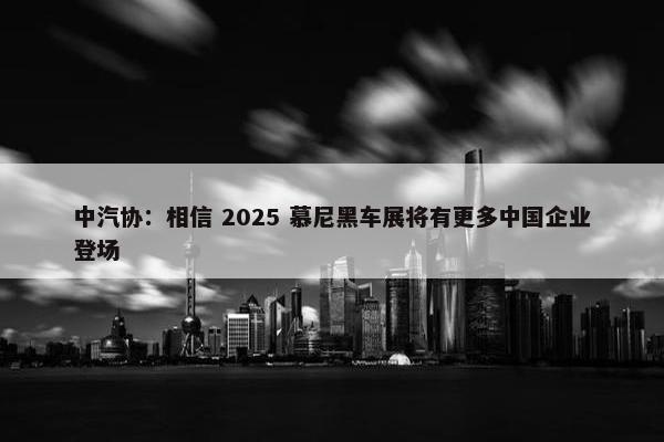 中汽协：相信 2025 慕尼黑车展将有更多中国企业登场