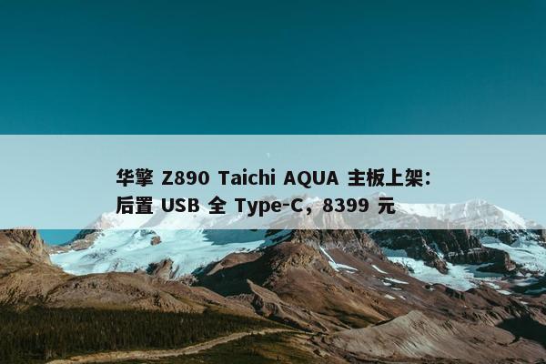 华擎 Z890 Taichi AQUA 主板上架：后置 USB 全 Type-C，8399 元