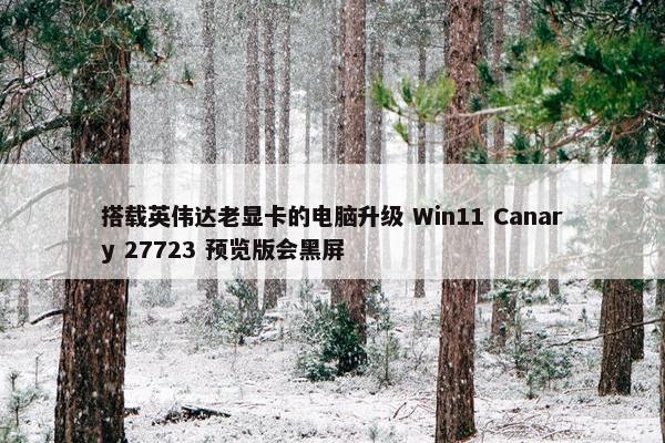 搭载英伟达老显卡的电脑升级 Win11 Canary 27723 预览版会黑屏