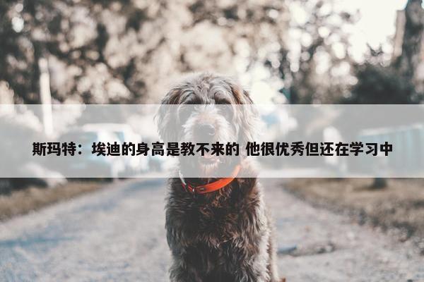 斯玛特：埃迪的身高是教不来的 他很优秀但还在学习中