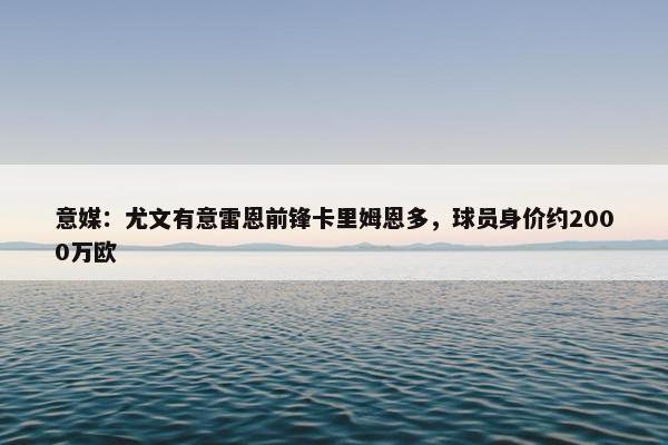 意媒：尤文有意雷恩前锋卡里姆恩多，球员身价约2000万欧