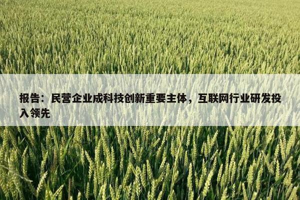 报告：民营企业成科技创新重要主体，互联网行业研发投入领先