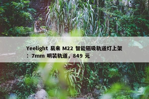 Yeelight 易来 M22 智能磁吸轨道灯上架：7mm 明装轨道，849 元