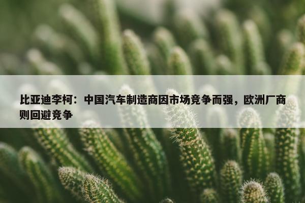 比亚迪李柯：中国汽车制造商因市场竞争而强，欧洲厂商则回避竞争