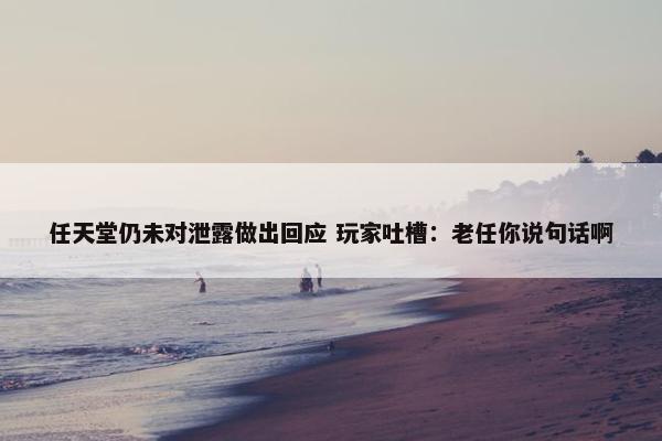 任天堂仍未对泄露做出回应 玩家吐槽：老任你说句话啊