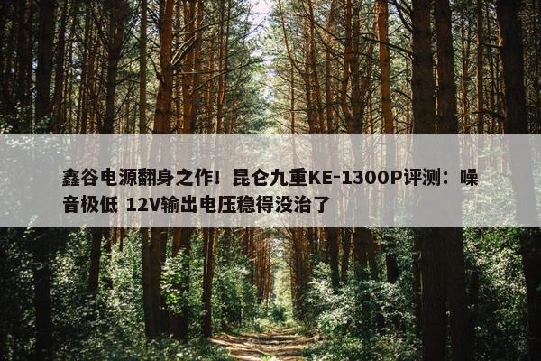 鑫谷电源翻身之作！昆仑九重KE-1300P评测：噪音极低 12V输出电压稳得没治了