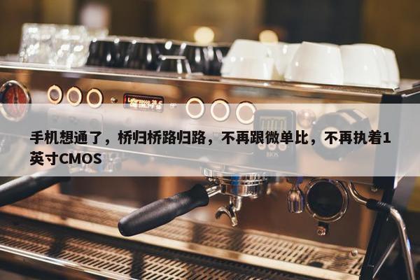 手机想通了，桥归桥路归路，不再跟微单比，不再执着1英寸CMOS