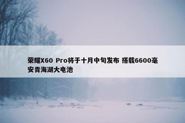 荣耀X60 Pro将于十月中旬发布 搭载6600毫安青海湖大电池