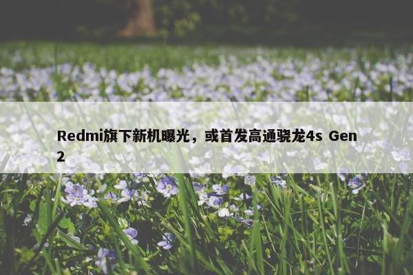 Redmi旗下新机曝光，或首发高通骁龙4s Gen2