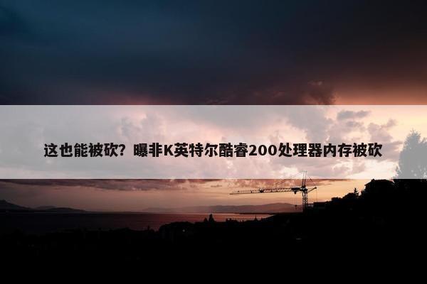 这也能被砍？曝非K英特尔酷睿200处理器内存被砍